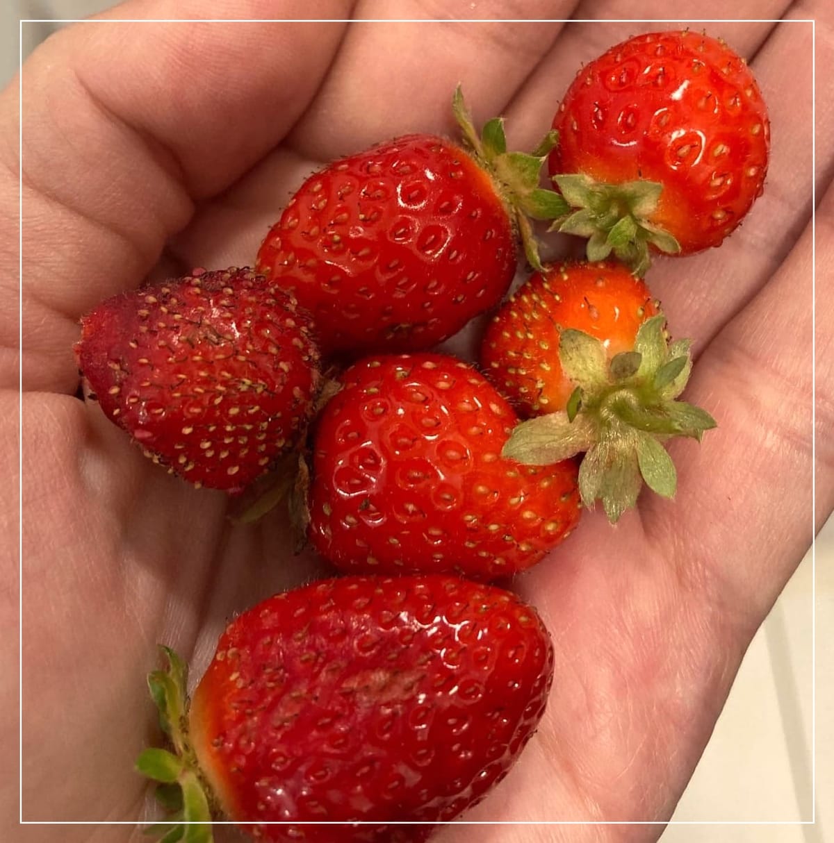 Jak vznikla myšlenka Deeply Rooted?